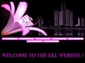http://ekiweb.hu