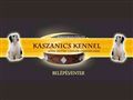 http://kaszanicskennel.hu
