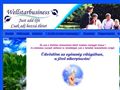 http://wellstarbusiness.hu